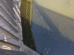 -大理洱源西湖景区