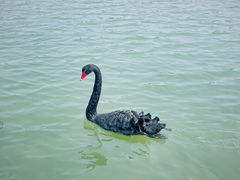 -五缘湾湿地公园