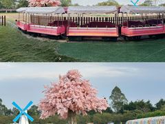 -盈香心动乐园