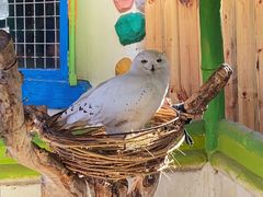 -北京野生动物园