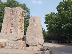 -泰丰公园