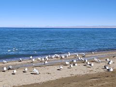-青海湖二郎剑景区