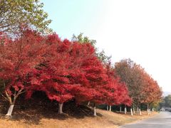-南山风景名胜区