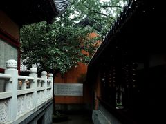-灵谷景区