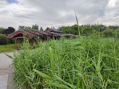 -百脉泉景区