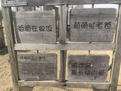 -前小桔亲子创意农场·草莓采摘·露营烧烤