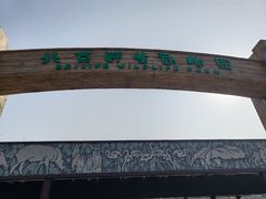 -北京野生动物园