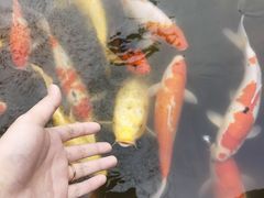 -万佛湖风景区