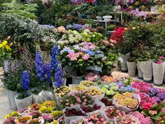 -双季花艺园艺市场(浦东店)