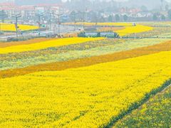 -中国天府农业博览园