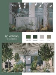 -DC大蔡婚礼策划(李公堤店)