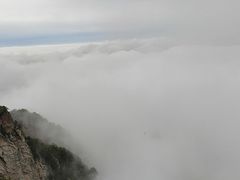 -王顺山国家森林公园