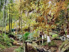 -莫干山风景区