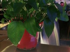 -千家粗粮王·火锅烧烤自助(庆阳店)