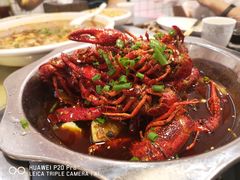 -不炭白烧烤(成都首店)