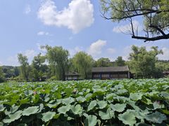 -承德避暑山庄景区