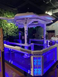 -奇幻丛林(佛罗伦萨小镇店)