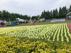 -歌斐颂巧克力小镇