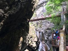 -牛背梁国家森林公园