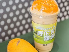 -茉酸奶(春熙路店)