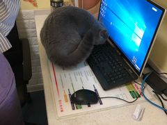 -瑞鹏宠物医院·爱宠堂(环西分院)