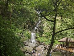 -石台牯牛降景区
