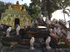 -东芭乐园
