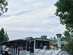 -泗洪洪泽湖湿地景区