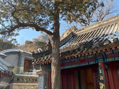 -北京凤凰岭