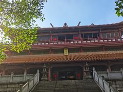 -三水森林公园