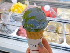 燕麦地球-Dal Cuore 达可芮冰淇淋(陕西北路店)