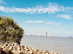 -上海滨江森林公园