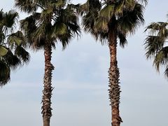 -晓琦农家菜馆·地道农家菜