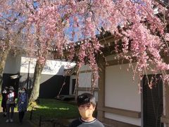 -醍醐寺