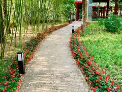 -南长河公园