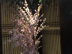 -杭州水知情足浴SPA(苏州店)