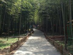 -陶祖圣境风景区