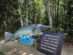 -茅兰沟国家森林公园