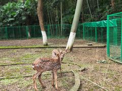 -南山风景名胜区