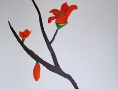 -攀枝花野菜铜火锅(万科凯德店)