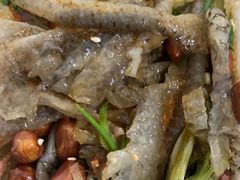 -陈添記·祖傳爽鱼皮·西关老字号(广州首店)