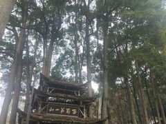 -青城山