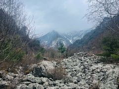 -陕西省红河谷森林公园