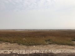 -上海南汇嘴大堤酒店
