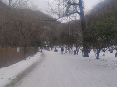 -西安祥峪森林公园