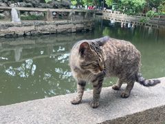 -西园戒幢律寺