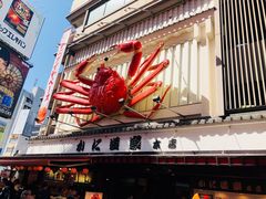 -蟹道乐(道顿堀本店)