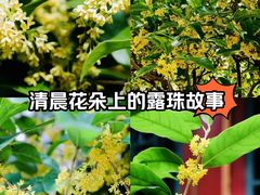 -颐和园
