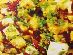 太安鱼-胖哥川菜馆(武东路店)