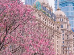 -海心沙亚运公园